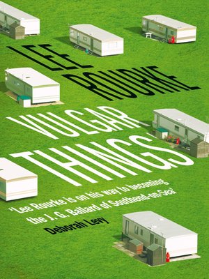 Vulgar Things - ebook